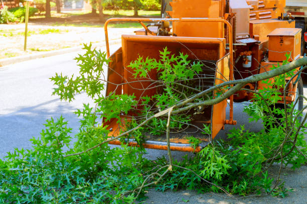 Mulching Services in Ponder, TX